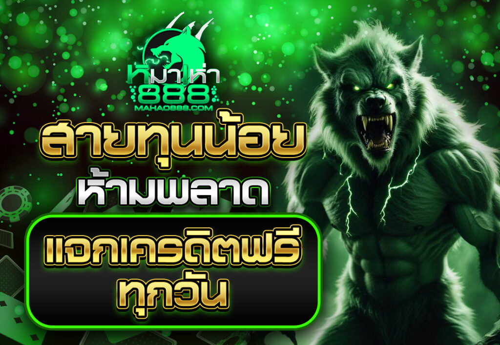 ทุนน้อย